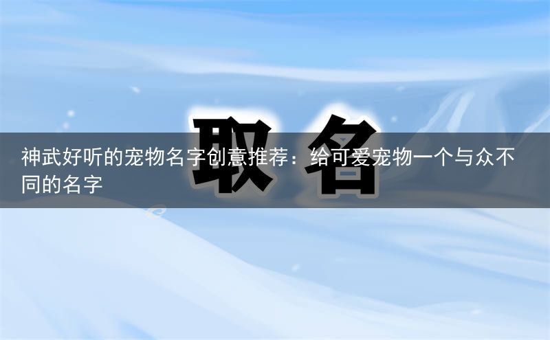 神武好听的宠物名字创意推荐：给可爱宠物一个与众不同的名字